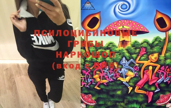 ГАЛЛЮЦИНОГЕННЫЕ ГРИБЫ Баксан