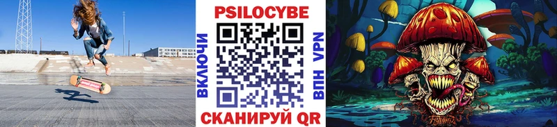 Псилоцибиновые грибы Psilocybine cubensis  Коммунар 
